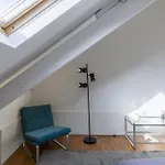 The White Box House *